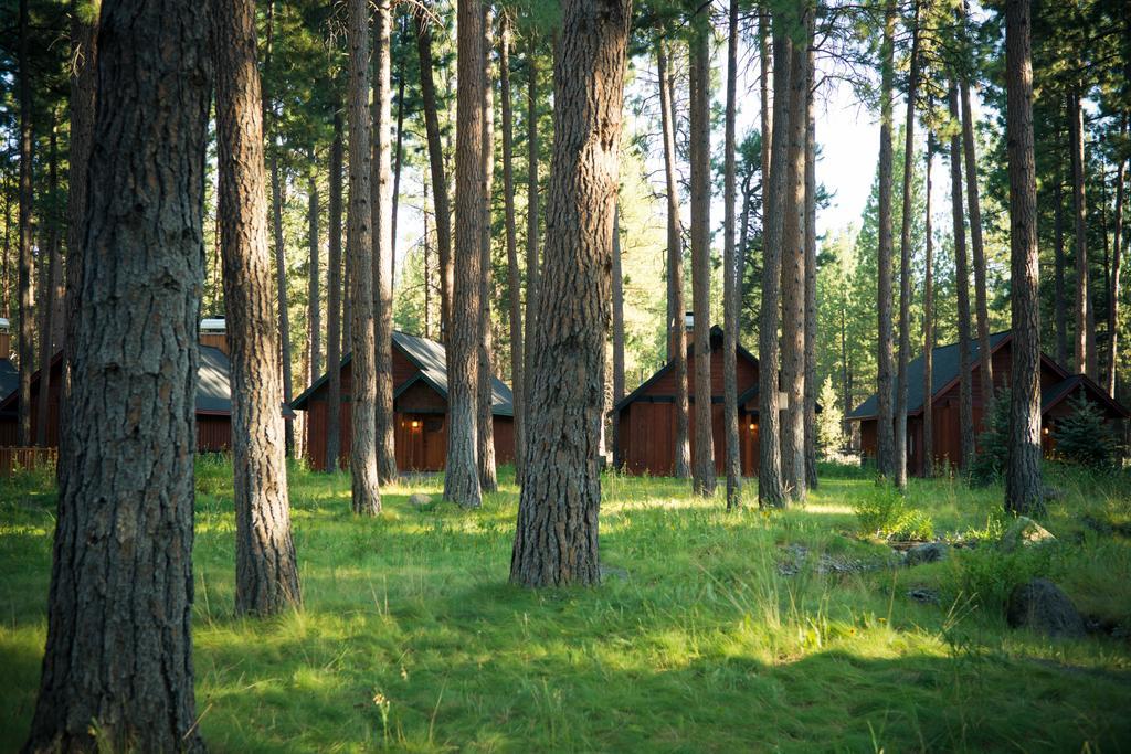 Fivepine Lodge Sisters Dış mekan fotoğraf